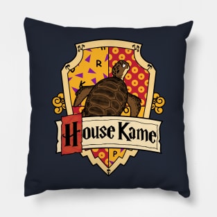 House turtle Pillow