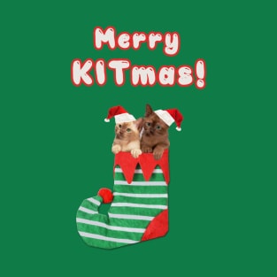 Merry KITmas from the Kittens T-Shirt