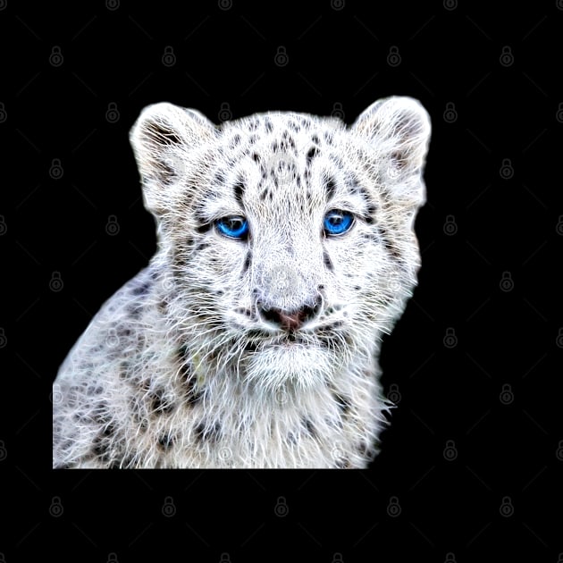 Snow Leopard Cub by Orikall