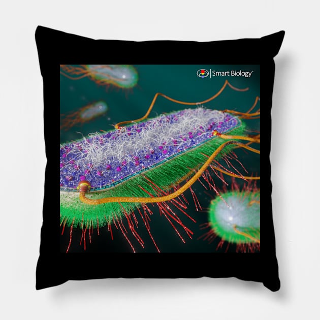 E.coli Cross-Section Pillow by Smart Biology