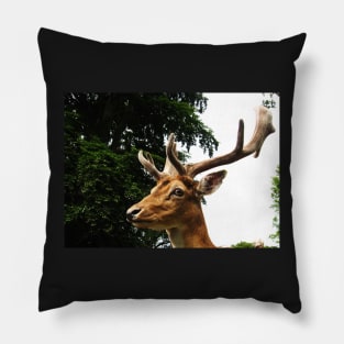 Portrait of a Deer Pillow