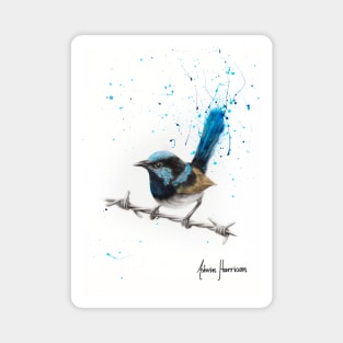 Balanced Blue Wren Magnet