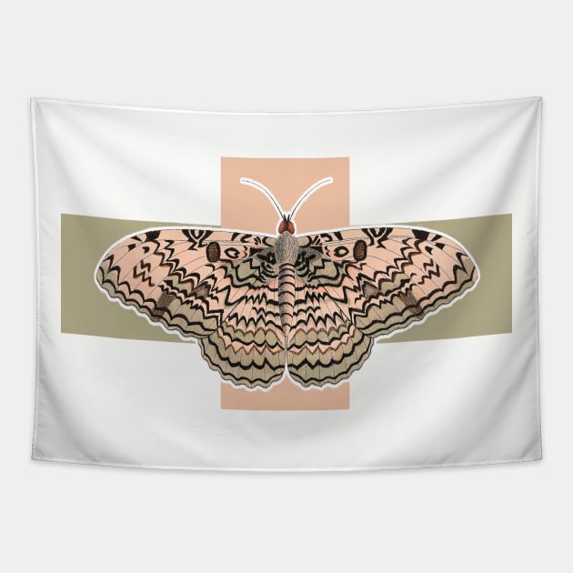 Pink butterfly Tapestry by Marccelus