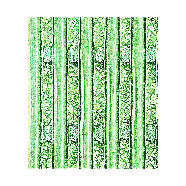 Bamboo Bars by Tovers