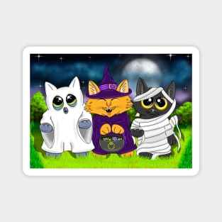 Trick or treating kittens Magnet