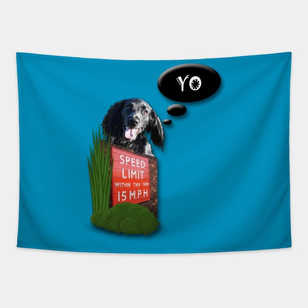 Funny black working cocker spaniel dog zoomies Tapestry by ownedandloved