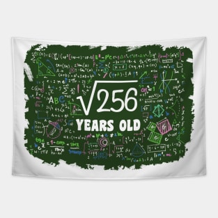 'Square Root Of 256 16 Year Old' Funny Math Gift Tapestry