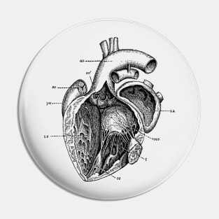 Internal Human Heart Diagram - Anatomy Poster Pin