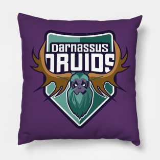 Darnassus Druids Pillow