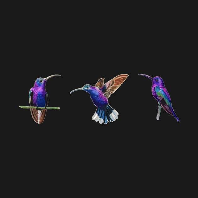 Violet Saberwing Hummingbirds in Watercolor by julyperson