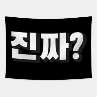 JINJJA (진짜) REALLY? Korean hangeul text kpop Tapestry