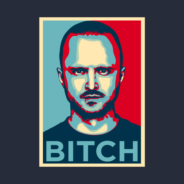 JESSE PINKMAN BITCH by Theo_P