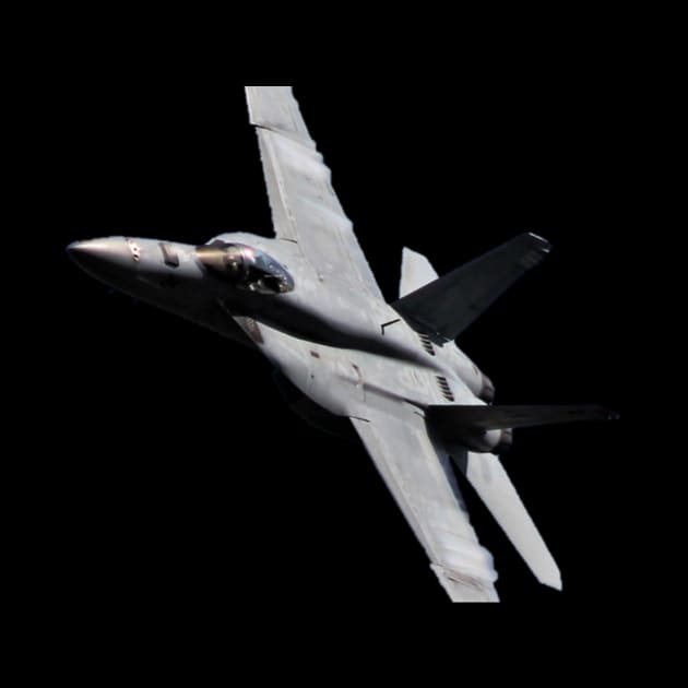 F/A-18E Super Hornet high-speed pass by acefox1