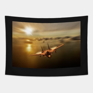 Tomcat Tomcat Tapestry