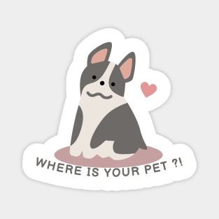 Where's Your Pet ?! Don't Let Him Alone Magnet