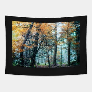 Blue autumn beech wood Tapestry