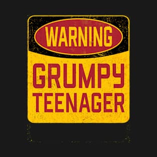 13th Birthday - Warning Grumpy Teenager T-Shirt