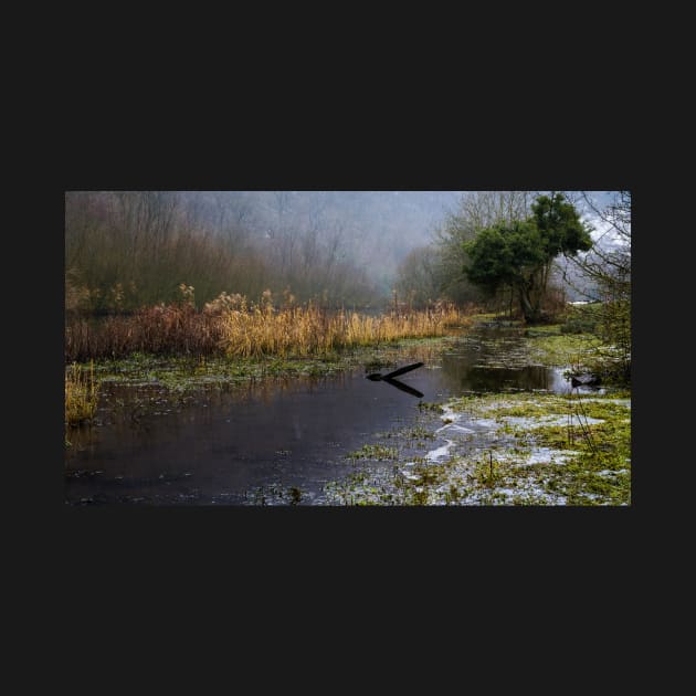 Frozen Shore on the River Wye by jldunbar