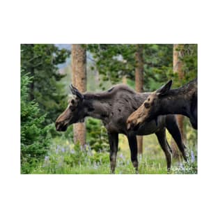 Moose on a Stroll in the Spring T-Shirt