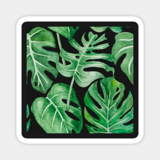 Monstera deliciosa leaves pattern Magnet