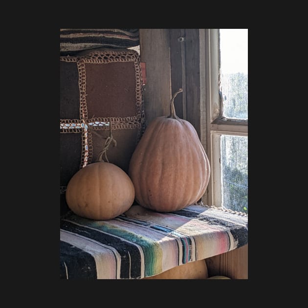 "Larder" garden pumpkins in a Greek treehouse by aeolia