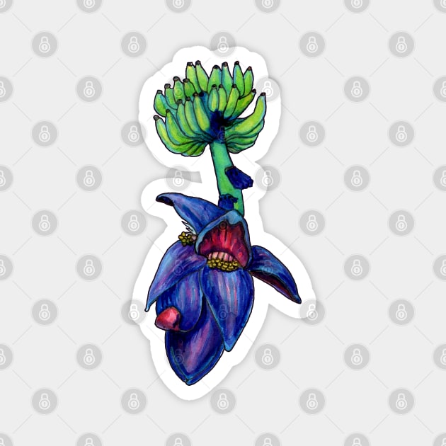 Banana Blossom Magnet by ThisIsNotAnImageOfLoss