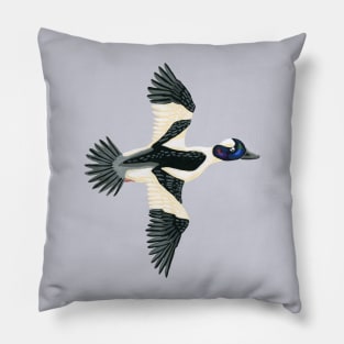 Bufflehead Duck Pillow
