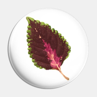 Coleus Chocolate Mint Leaf Pin