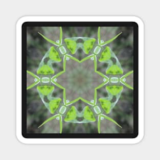 Green Plant Kaleidoscope Pattern (Seamless) Magnet