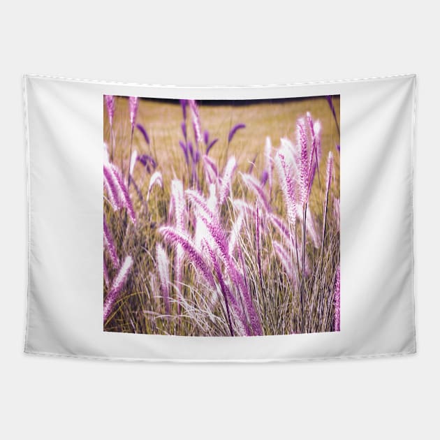 Fountain Grass in purple Tapestry by PedaDesign