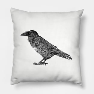 Raven pen and ink Pillow