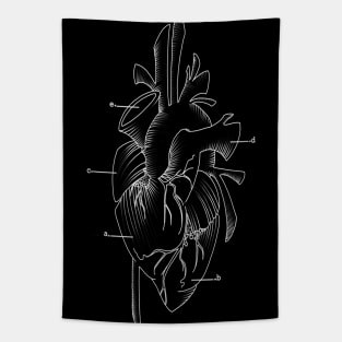 anatomical heart Tapestry