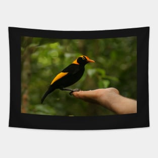 A Regent Bowerbird in the hand is worth two or more photos Tapestry