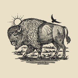 American Bison At Sunrise Field. T-Shirt