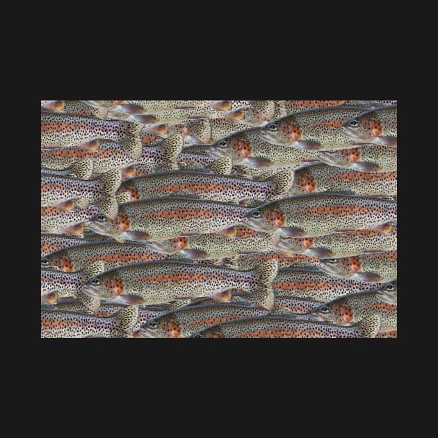 Rainbow Trout by MagpieSprings