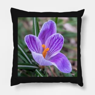 Purple, White and Orange Flower 5 Pillow