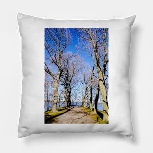 Bay view from Dundurn Castle Pillow