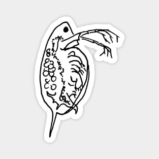 Daphnia Line Art Magnet