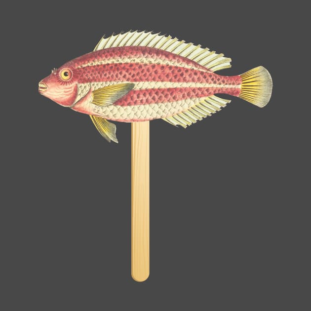 Lollipop Fish by Pacesyte