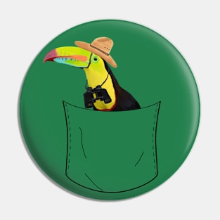 Peeking Pocket Pet - Toucan Explorer Pin