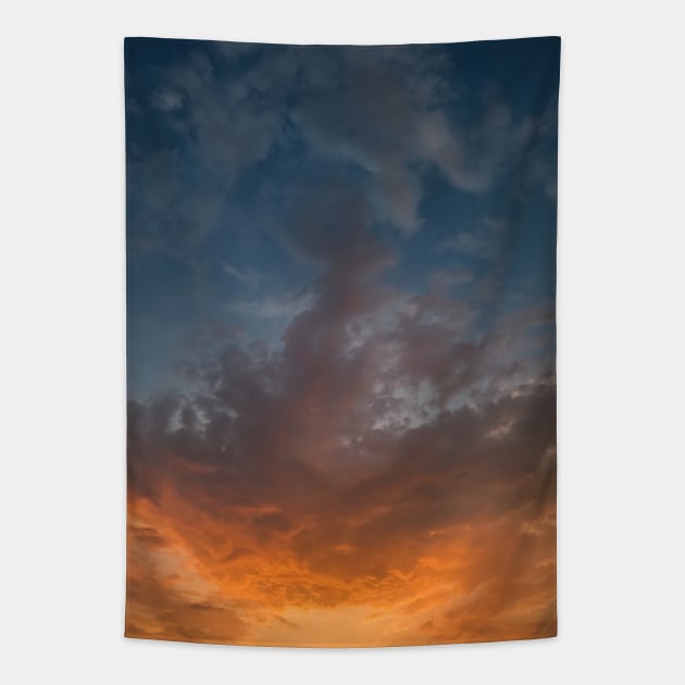 evening sky Tapestry by psychoshadow