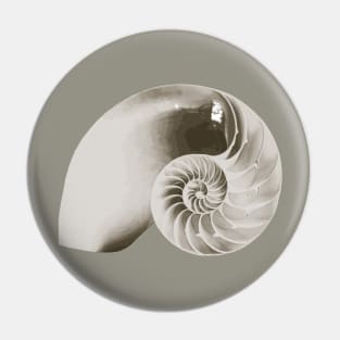 Open Nautilus Shell Pin