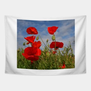 Poppies Tapestry