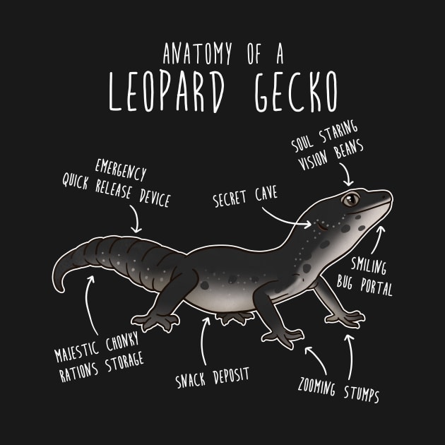 Black Leopard Gecko Lizard Reptile Anatomy by Psitta