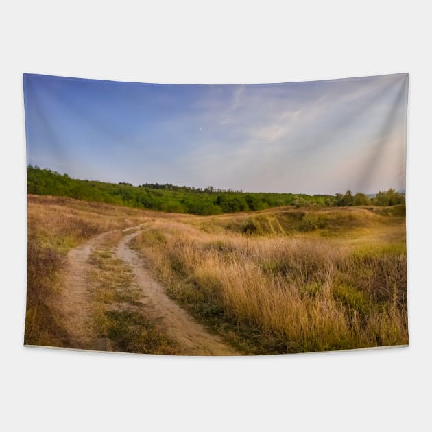 autumn rural pano Tapestry by psychoshadow