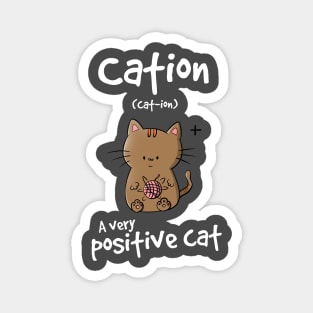 Positive Cat Magnet