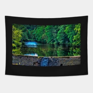 Waterfall at Minas Basin Pulp and Power Co Tapestry