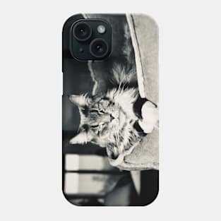 Cat main coon black and white / Swiss Artwork Photography Phone Case