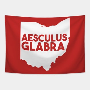 Ohio - Aesculus Glabra Tapestry