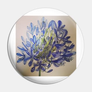 Agapanthus flower watercolour painting Pin